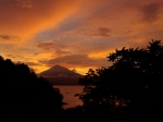 lembeh_diverslodge44