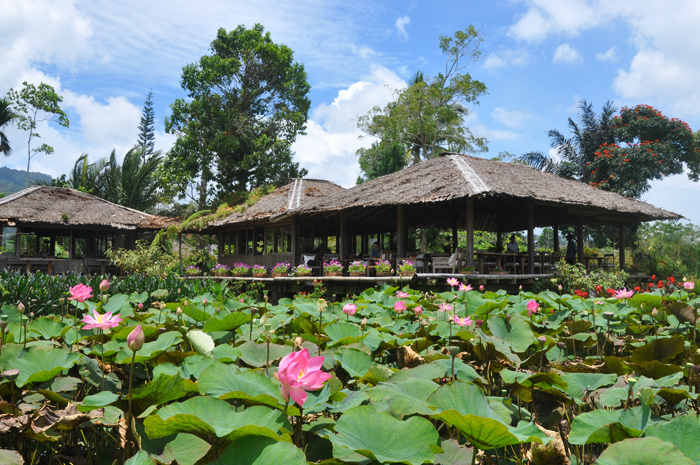 Gardenia Resort, our lunch location