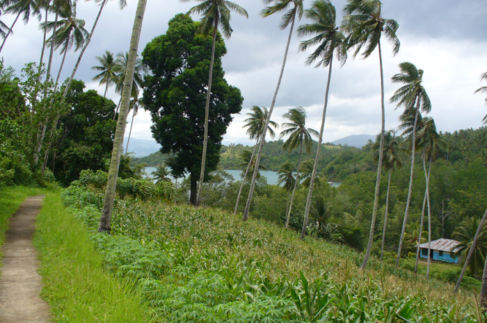 Trail on hiking Lembeh Island