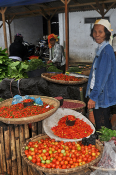 Spices in Tomohon Market