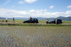 Land Tours - Transportation