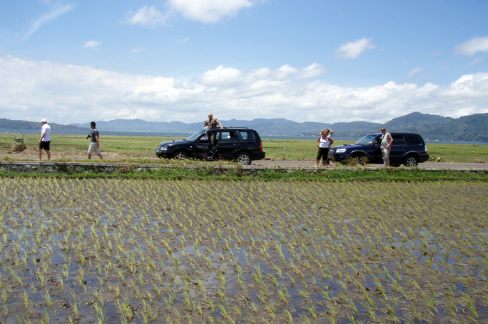 Rice field by Tondano lake