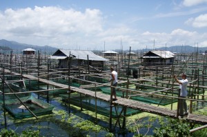 Land Tours - Fishfarm at the Minahasa