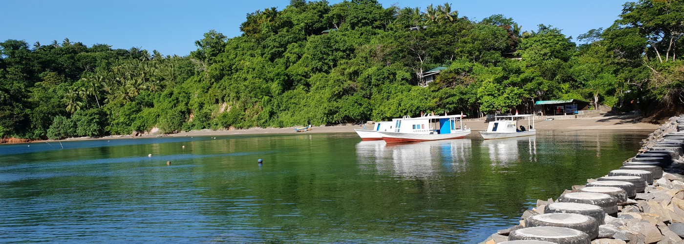 Snorkelling / Swimming access - Divers Lodge Lembeh