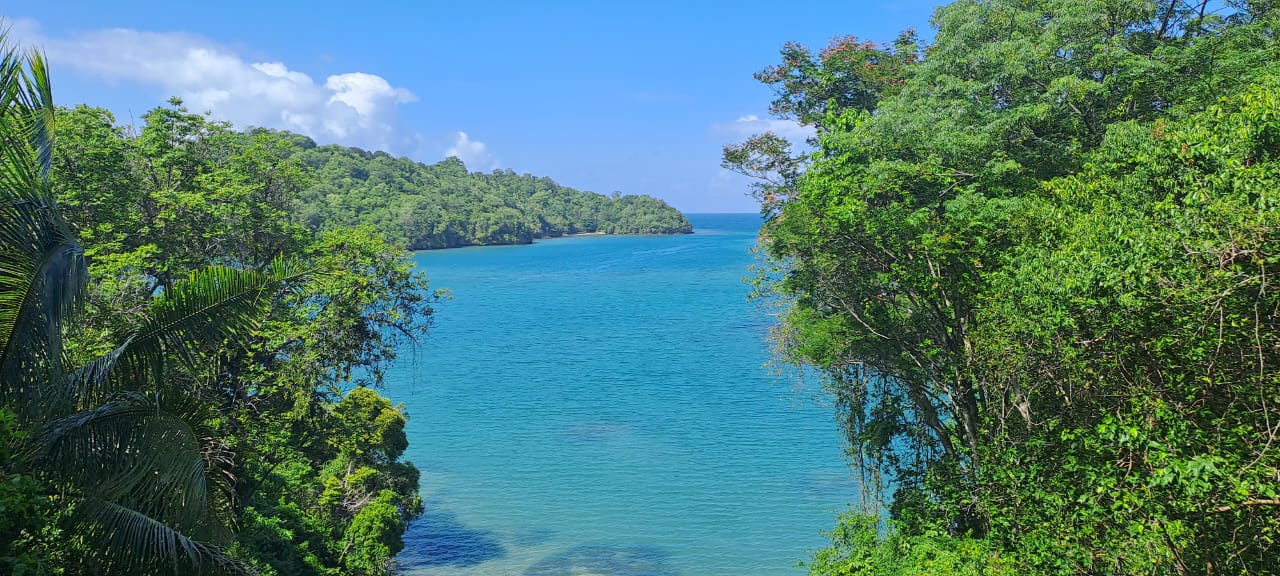 Paniki's terrace view of Walenekoko lagoon.