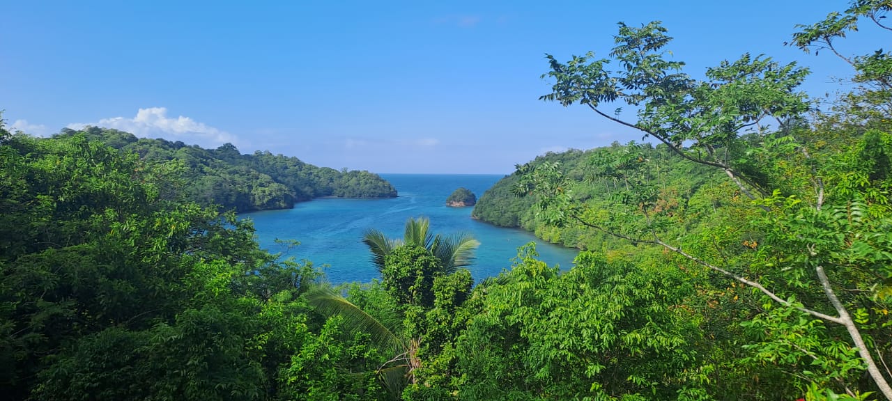 Rajawali's terrace view of Walenekoko Lagoon.