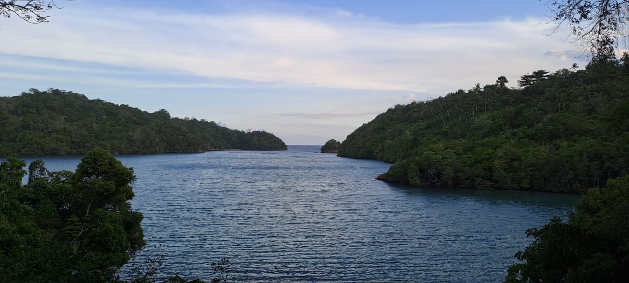 Divers Lodge Lembeh Bungalows - View from Bungalow Kura-kura.