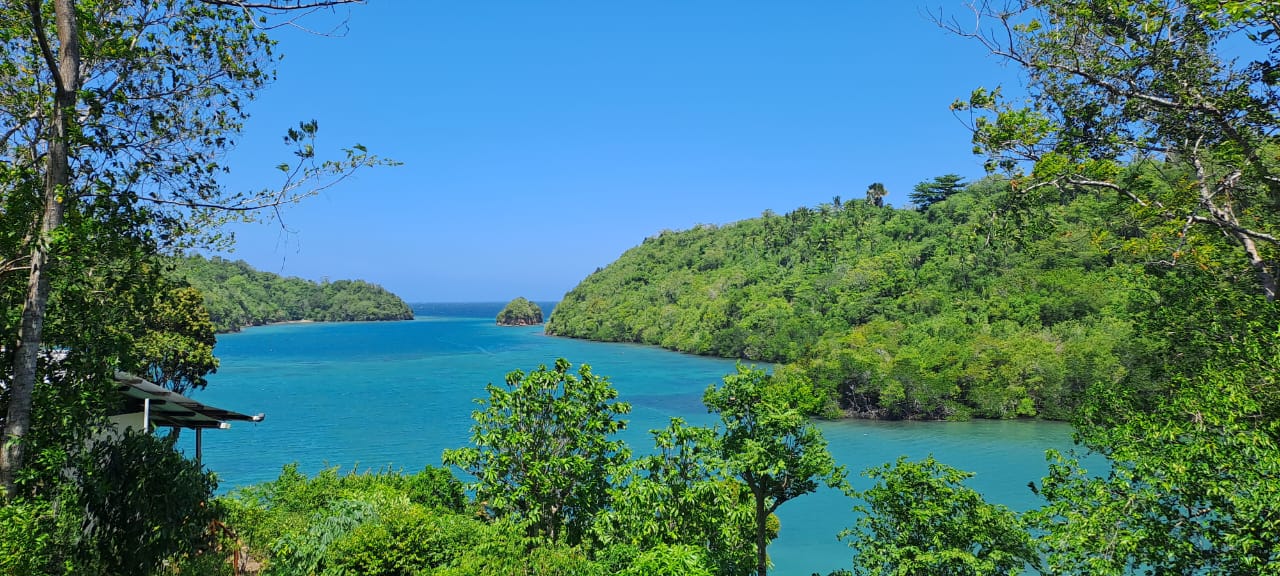 Divers Lodge Lembeh Bungalows - View From Bungalow Penyu