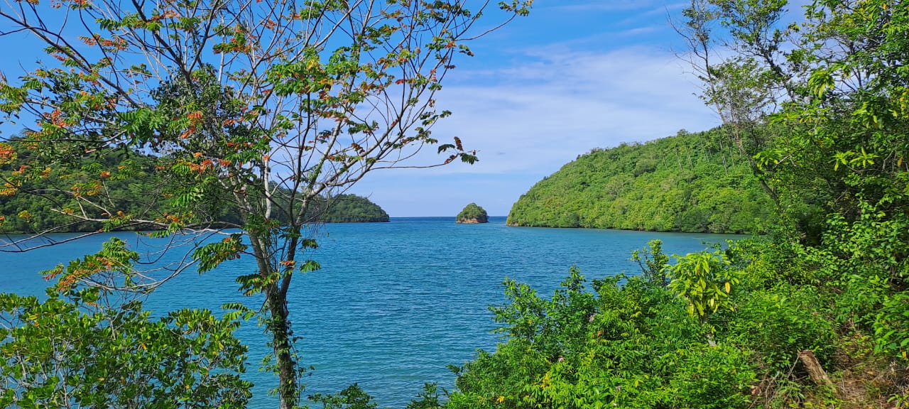 Divers Lodge Lembeh Bungalows - View from Bungalow Tarsius.