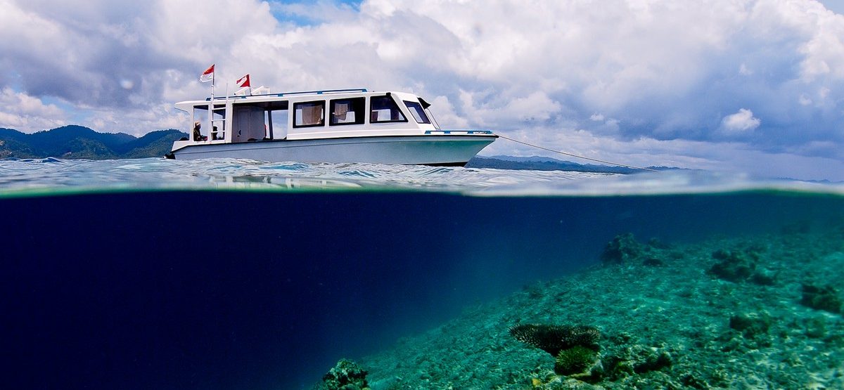 Private Dive Boat - Divers Lodge Lembeh