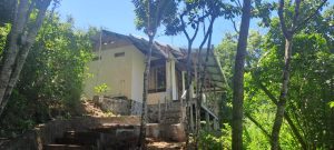 Divers Lodge Lembeh - Bungalow Penyu's Exterior