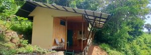 Bungalow Kura-Kura Divers Lodge Lembeh